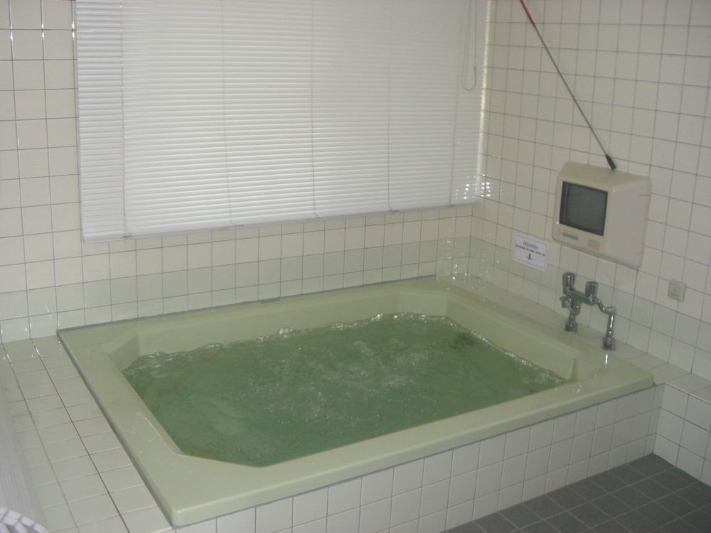 Nagomi-Tei Hotell Hakuba Exteriör bild